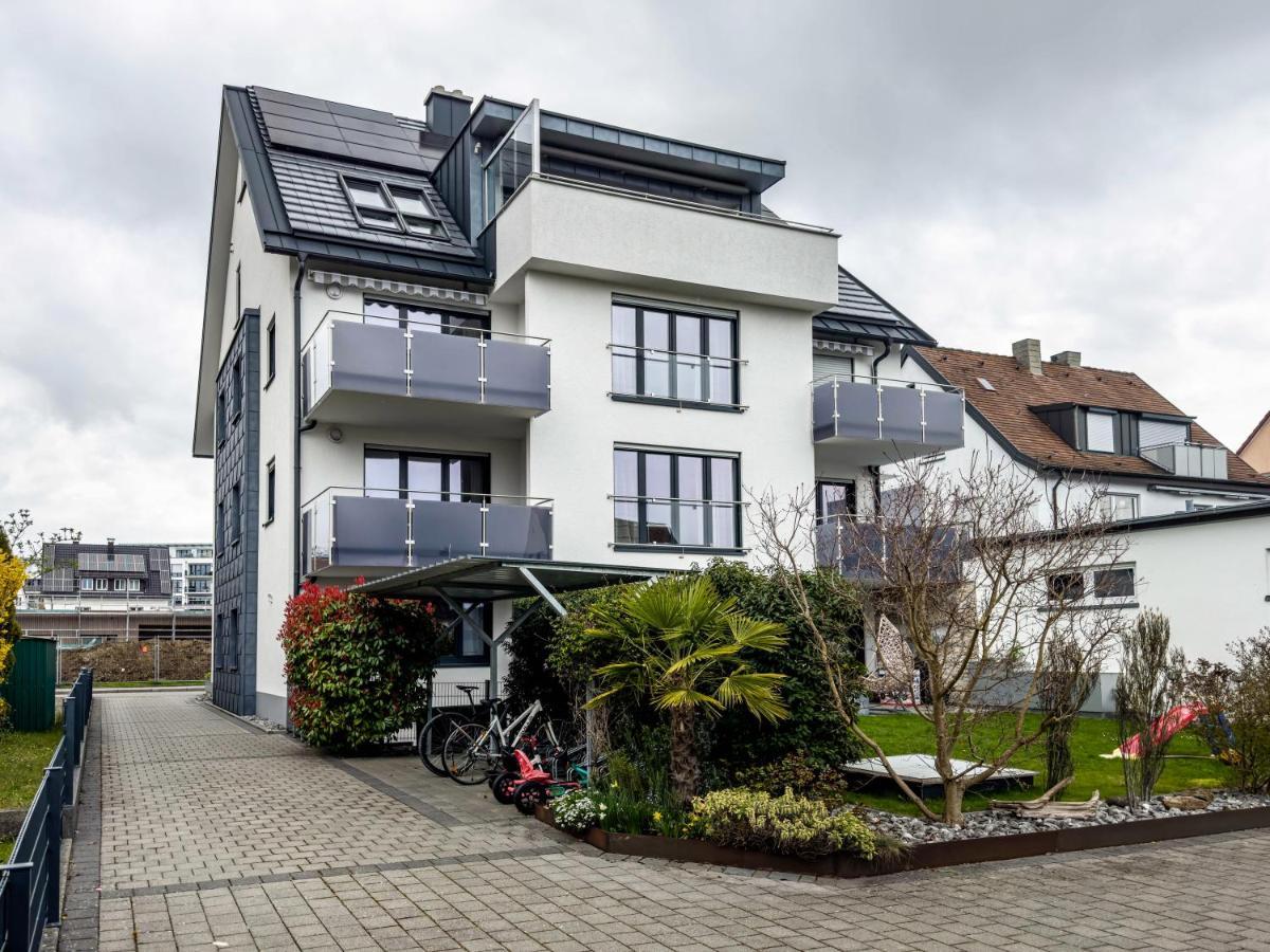 Amsel - Vogelhaus *